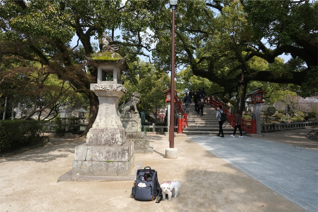 f:id:harupug:20230108113407j:image f:id:harupug:20230108113407j:image