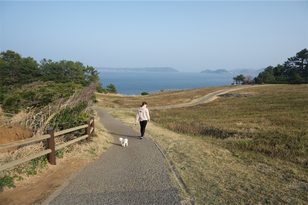 f:id:harupug:20230108113412j:image f:id:harupug:20230108113412j:image