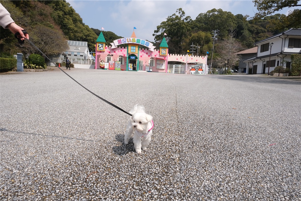 f:id:harupug:20230108113518j:image f:id:harupug:20230108113518j:image