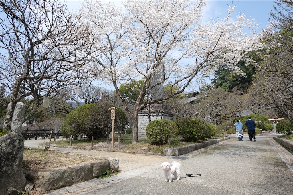 f:id:harupug:20230108113849j:image f:id:harupug:20230108113849j:image