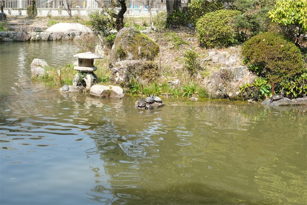 f:id:harupug:20230108114016j:image f:id:harupug:20230108114016j:image
