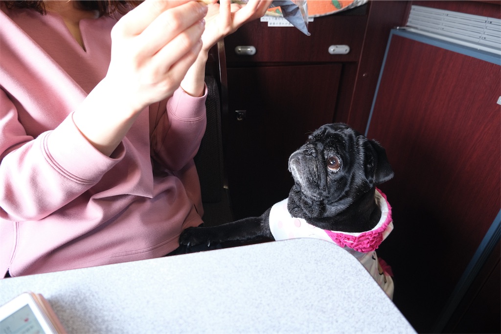 f:id:harupug:20230108114036j:image f:id:harupug:20230108114036j:image