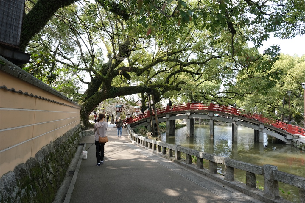 f:id:harupug:20230108114108j:image f:id:harupug:20230108114108j:image