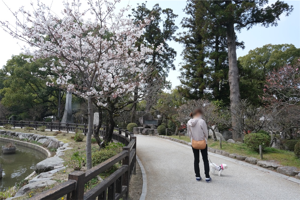 f:id:harupug:20230108114223j:image f:id:harupug:20230108114223j:image