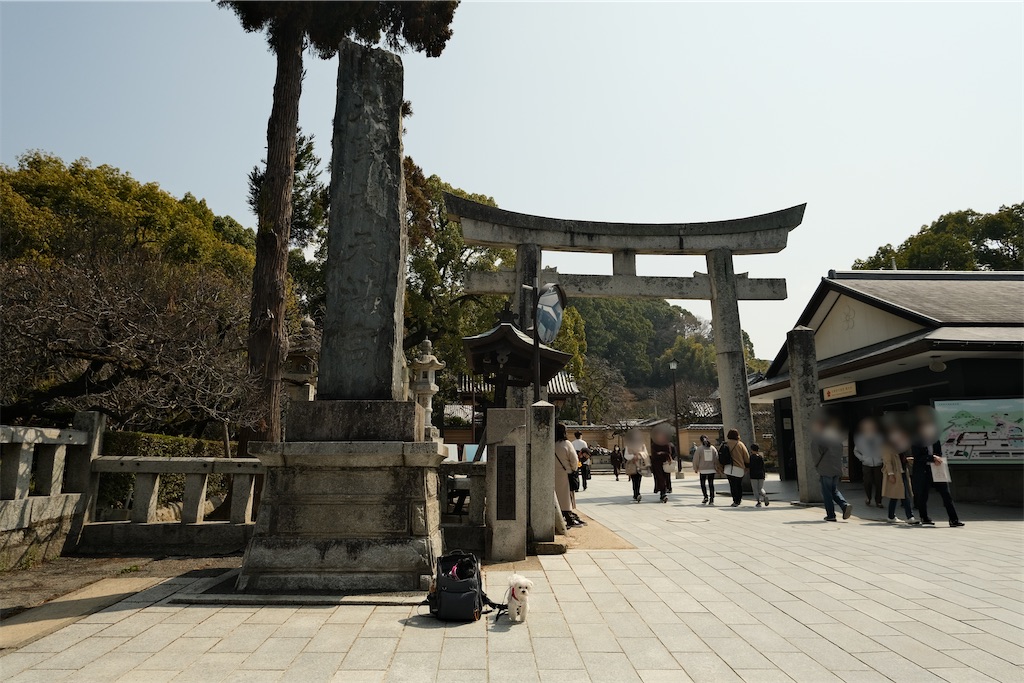 f:id:harupug:20230108115805j:image f:id:harupug:20230108115805j:image