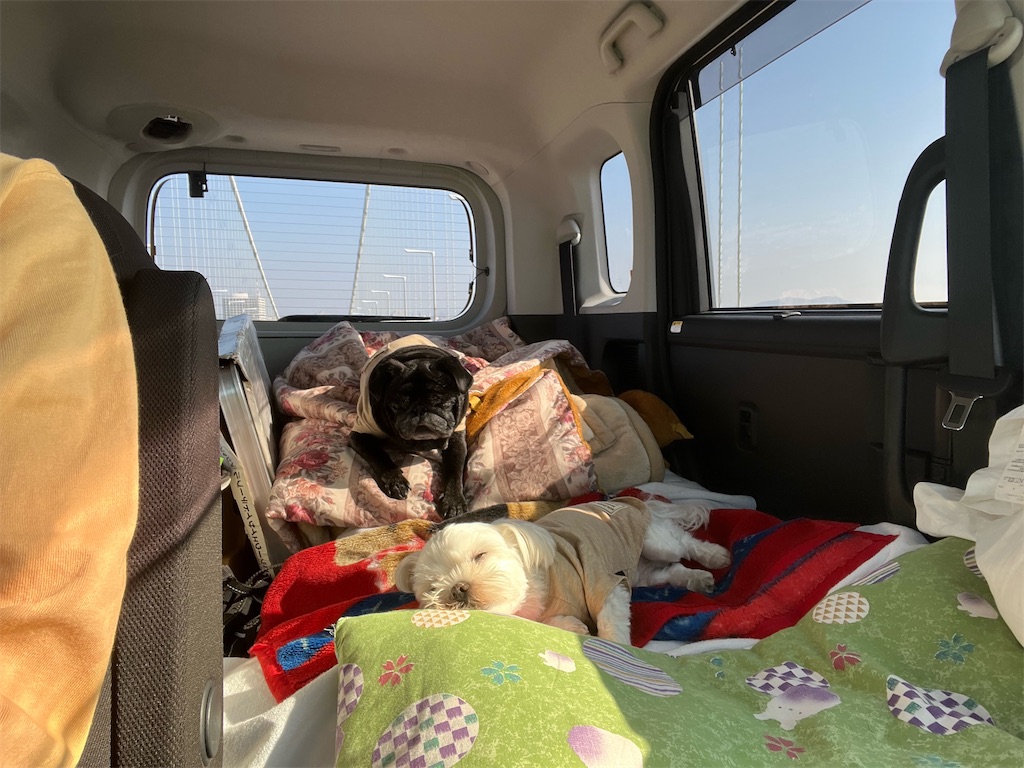 f:id:harupug:20240104185655j:image