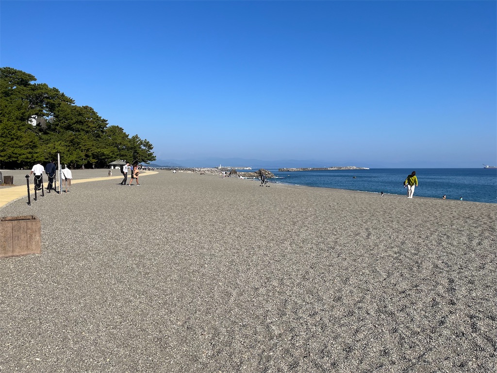 f:id:harupug:20240104185815j:image