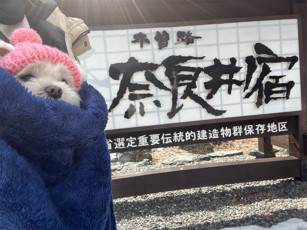 f:id:harupug:20240204124610j:image f:id:harupug:20240204124610j:image