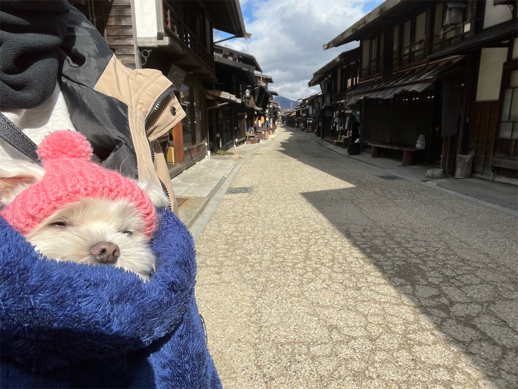 f:id:harupug:20240204124613j:image f:id:harupug:20240204124613j:image