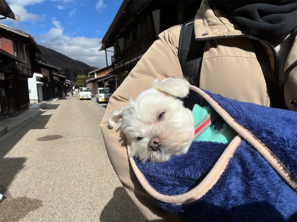 f:id:harupug:20240204124616j:image f:id:harupug:20240204124616j:image
