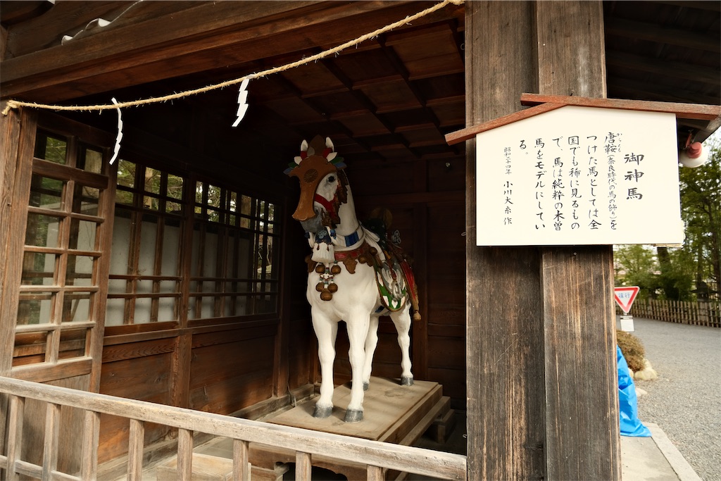 f:id:harupug:20240204124721j:image f:id:harupug:20240204124721j:image