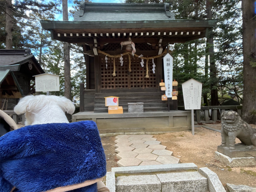 f:id:harupug:20240204124803j:image f:id:harupug:20240204124803j:image
