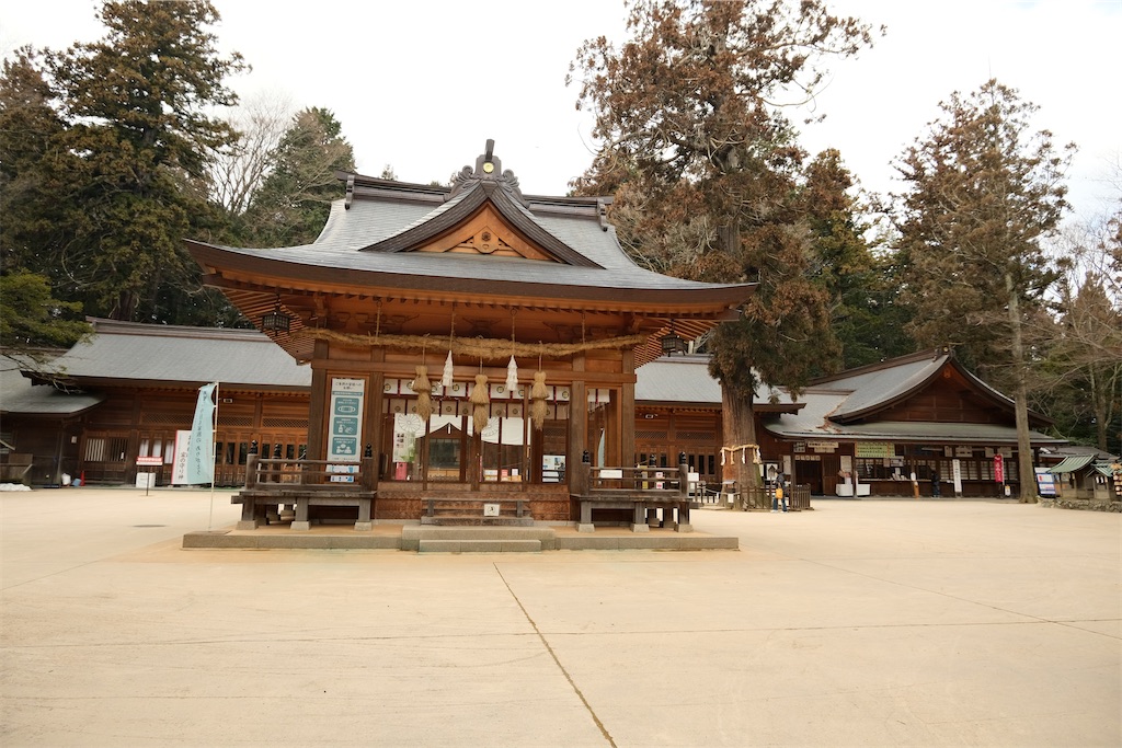 f:id:harupug:20240204124918j:image f:id:harupug:20240204124918j:image