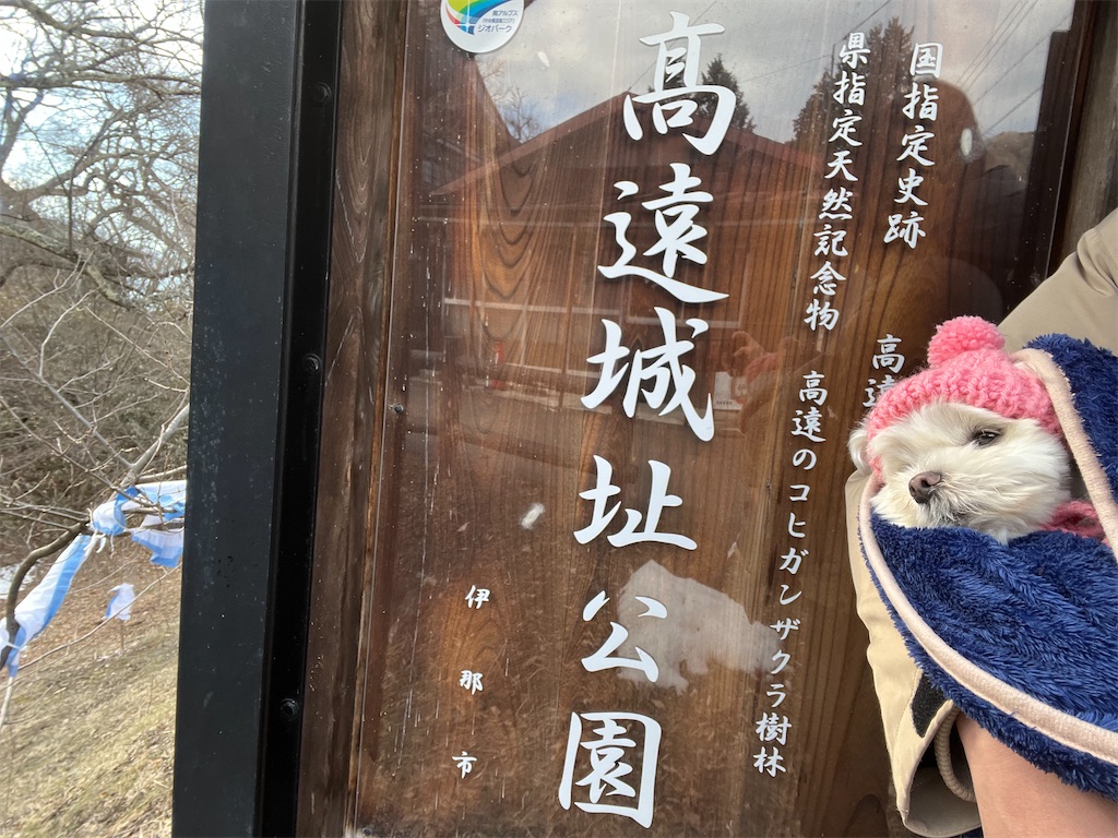 f:id:harupug:20240204124921j:image f:id:harupug:20240204124921j:image