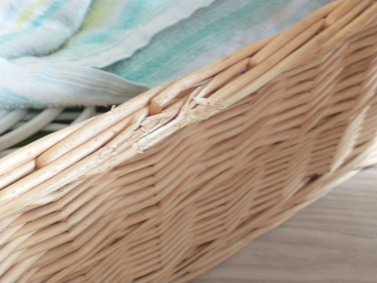 f:id:haruru1019:20200728084651j:plain