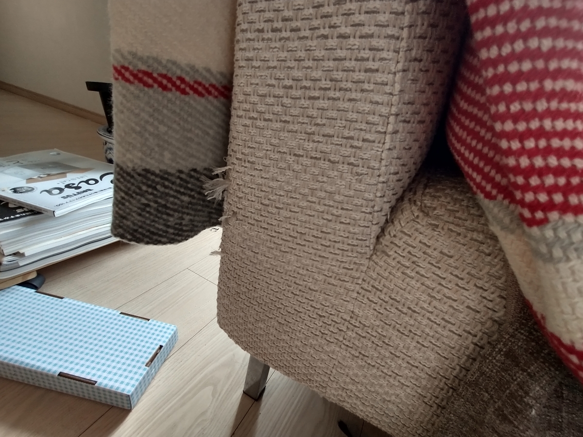 f:id:haruru1019:20200728084837j:plain