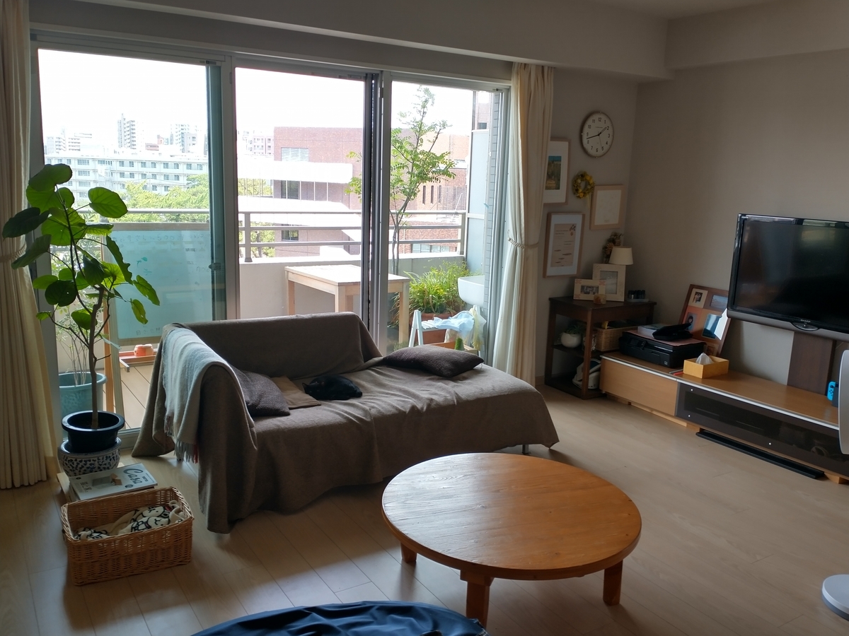 f:id:haruru1019:20200728085319j:plain