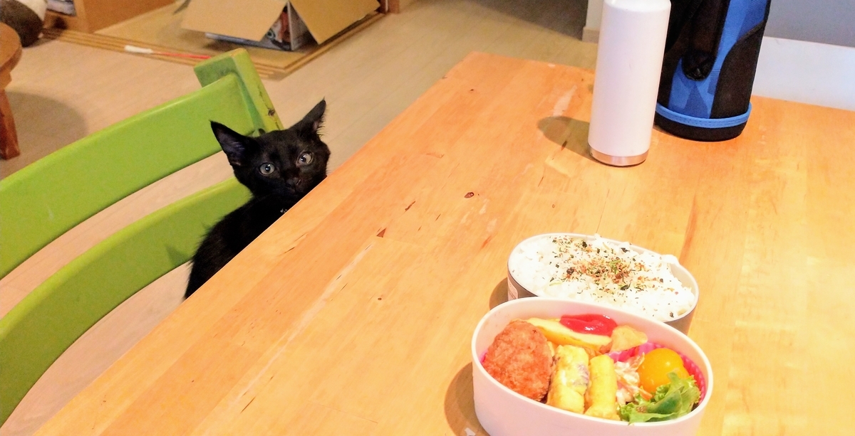 f:id:haruru1019:20200728085419j:plain