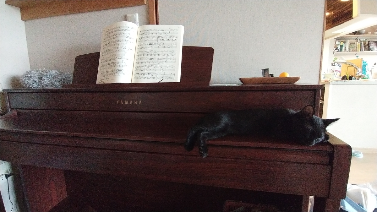 f:id:haruru1019:20200728094925j:plain