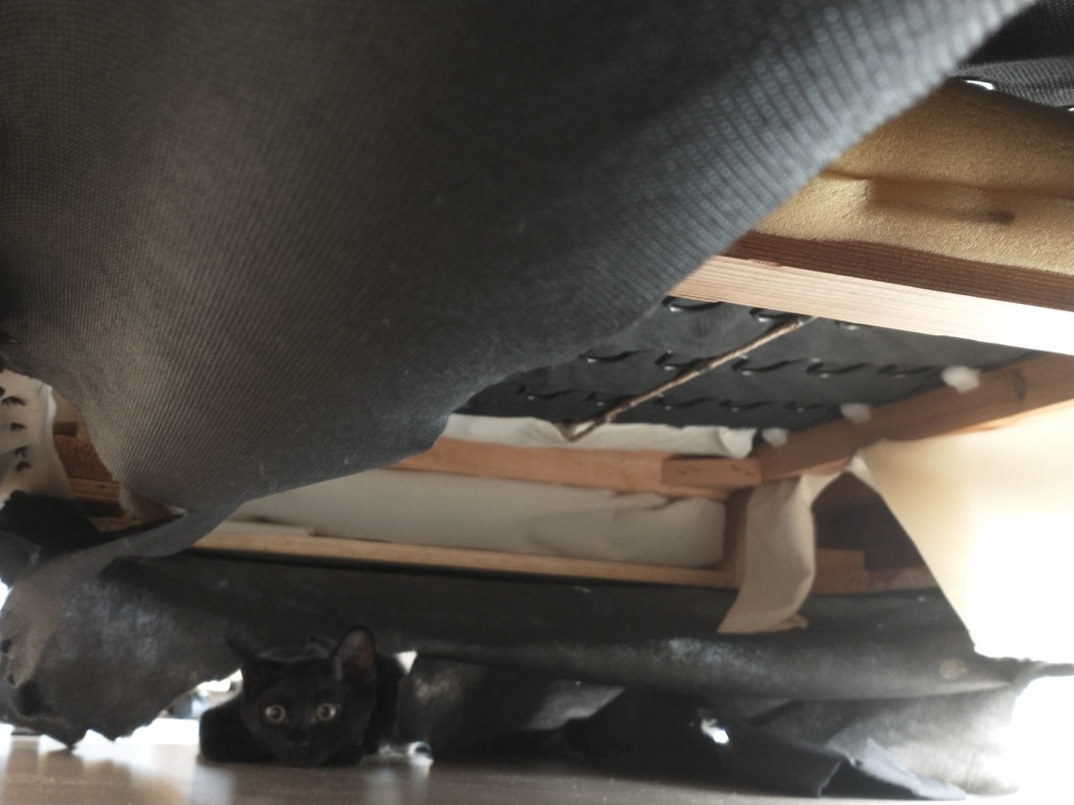 f:id:haruru1019:20200814215432j:plain