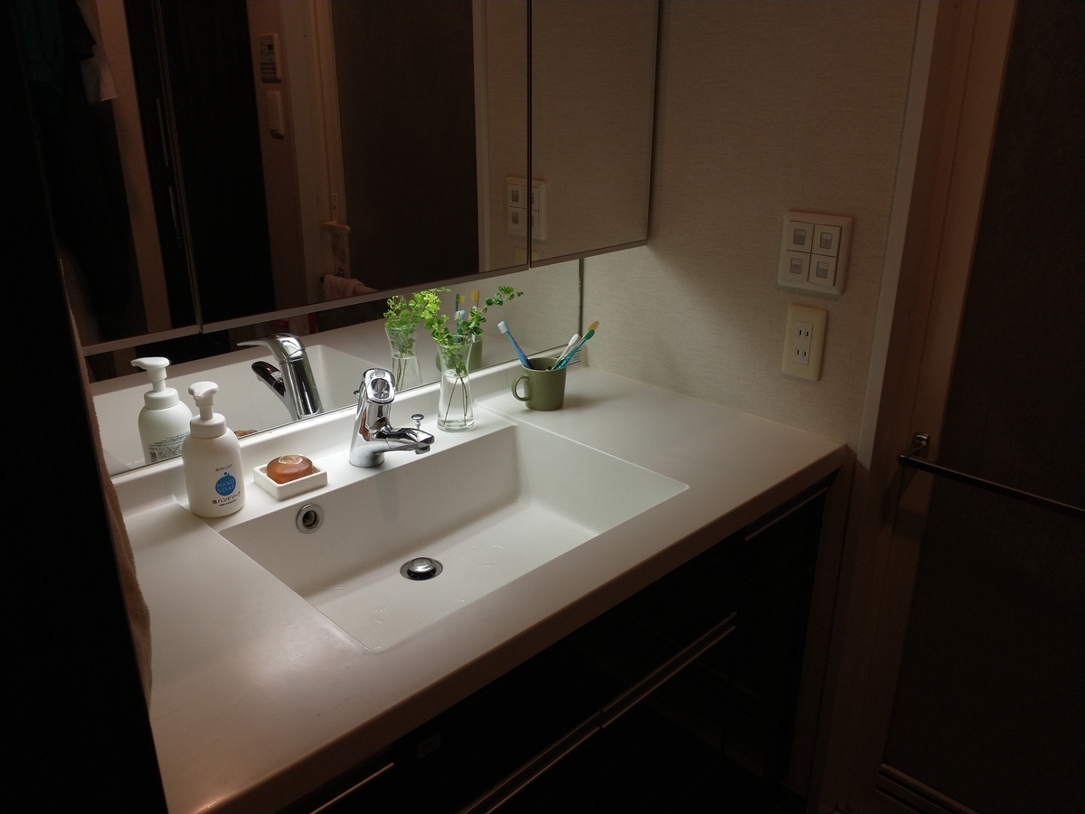 f:id:haruru1019:20200820012620j:plain