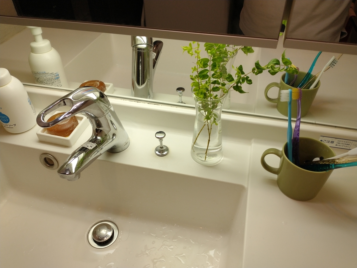 f:id:haruru1019:20200820232039j:plain