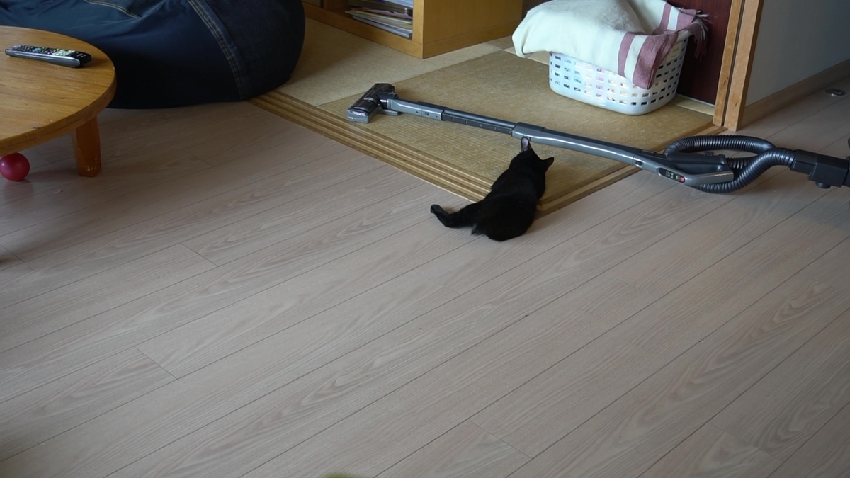 f:id:haruru1019:20200823113723j:plain