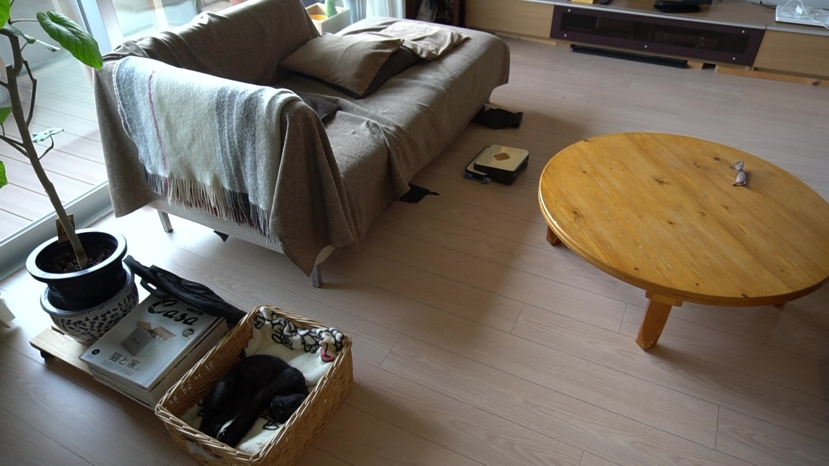 f:id:haruru1019:20200823113846j:plain