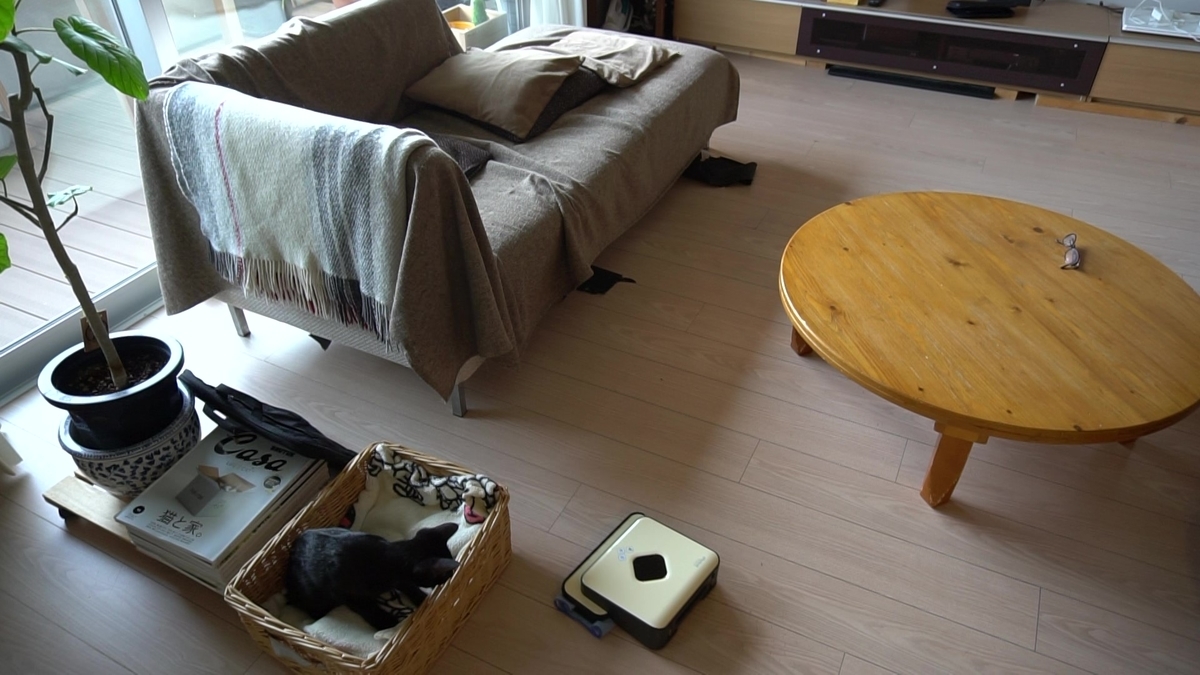 f:id:haruru1019:20200823113957j:plain