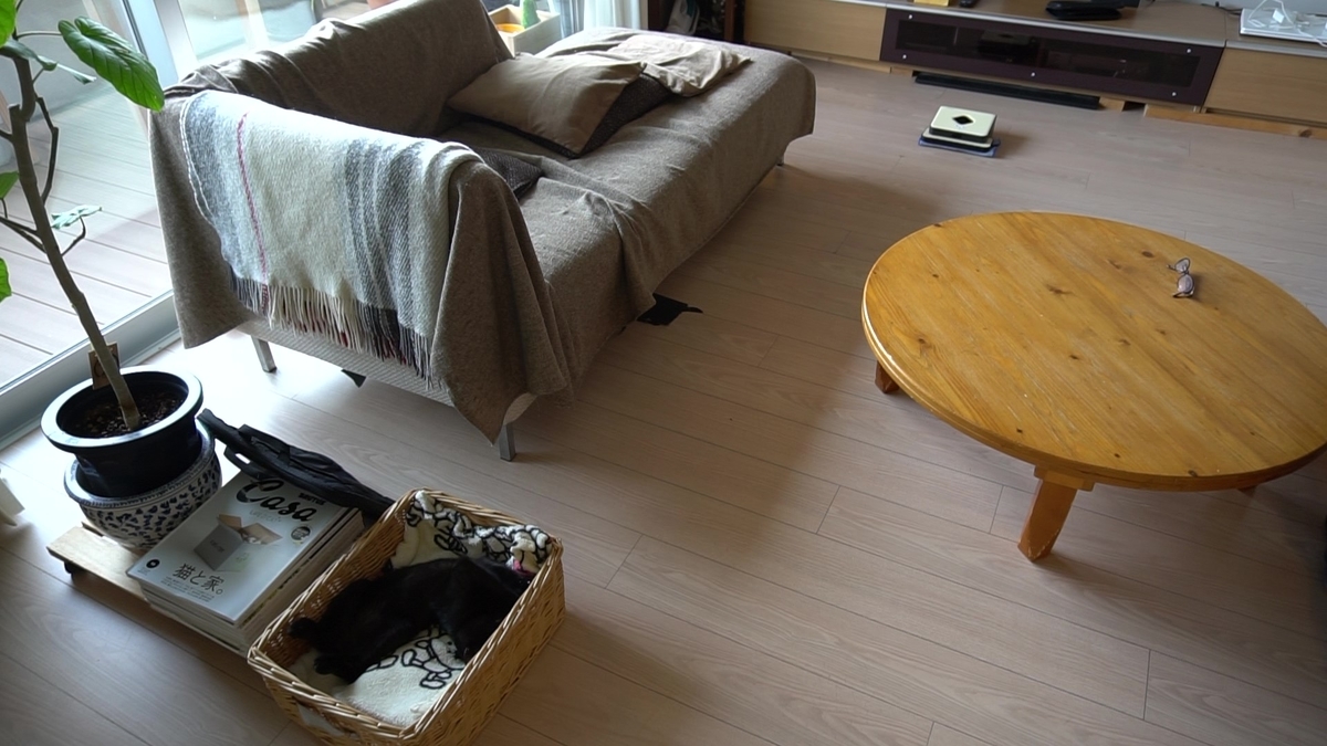 f:id:haruru1019:20200823114106j:plain