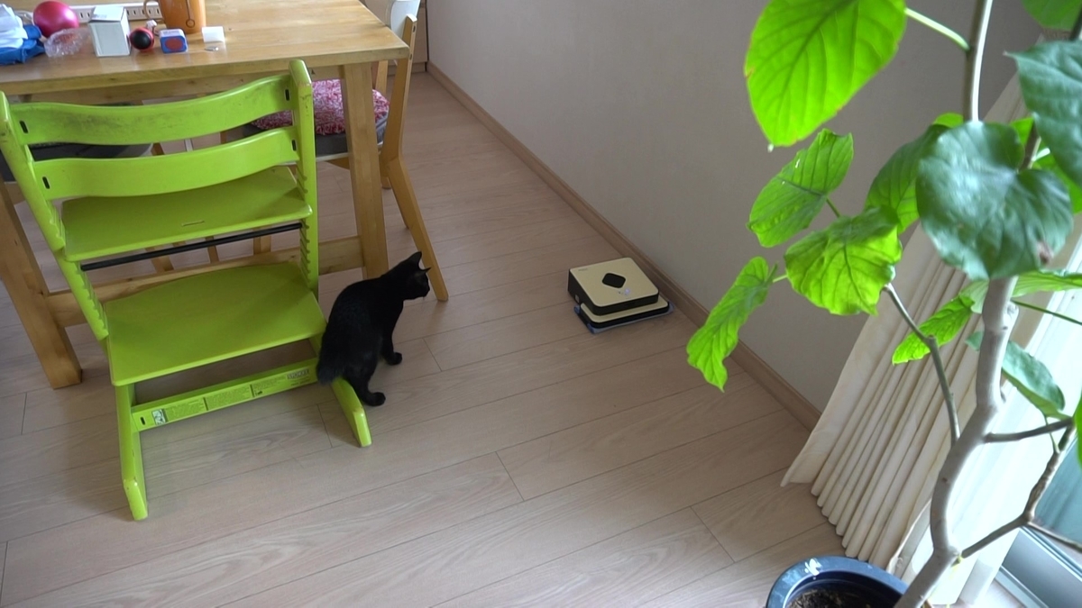 f:id:haruru1019:20200823114353j:plain