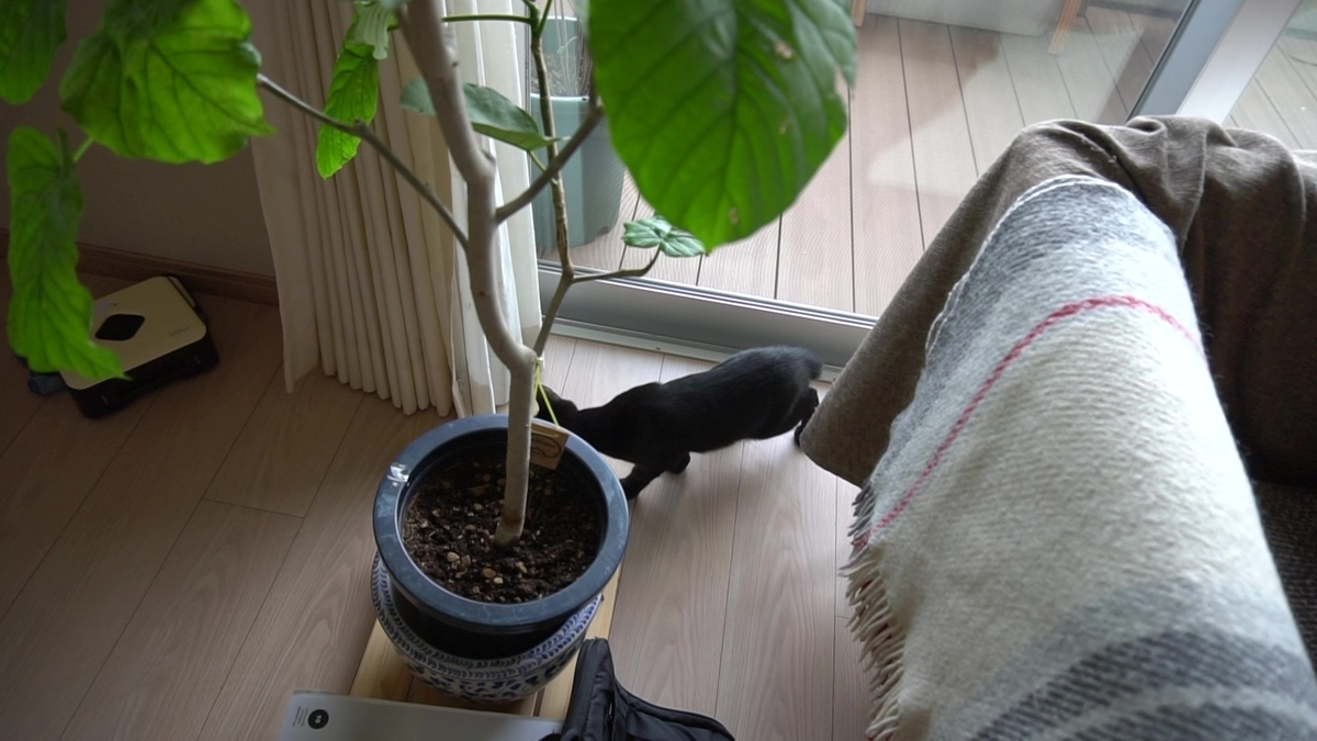 f:id:haruru1019:20200823124536j:plain