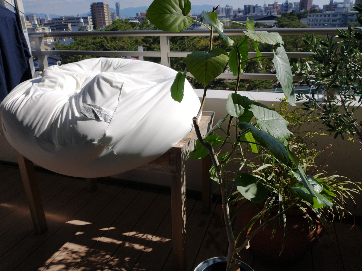 f:id:haruru1019:20210329140927j:plain