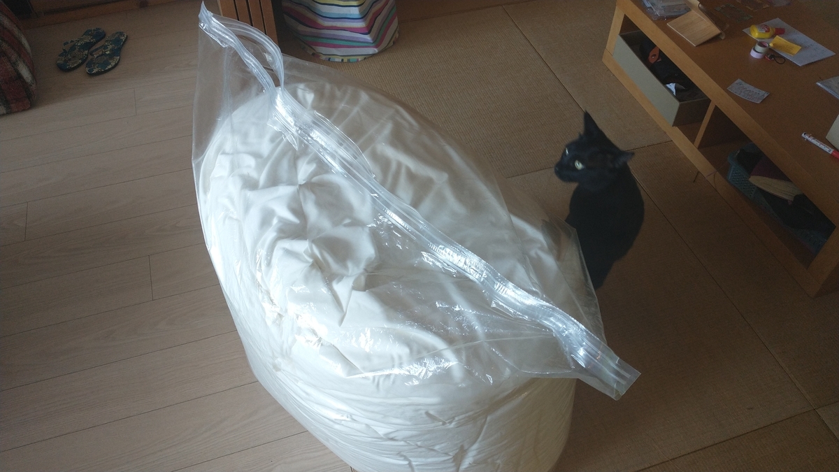 f:id:haruru1019:20210329141300j:plain