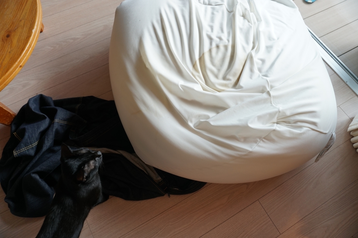 f:id:haruru1019:20210329162106j:plain