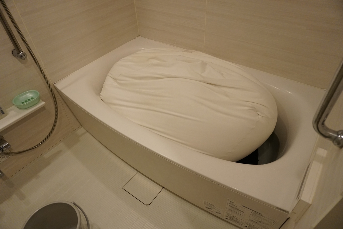 f:id:haruru1019:20210329162136j:plain