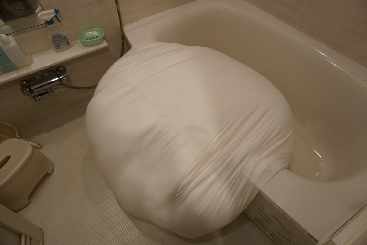 f:id:haruru1019:20210329162217j:plain