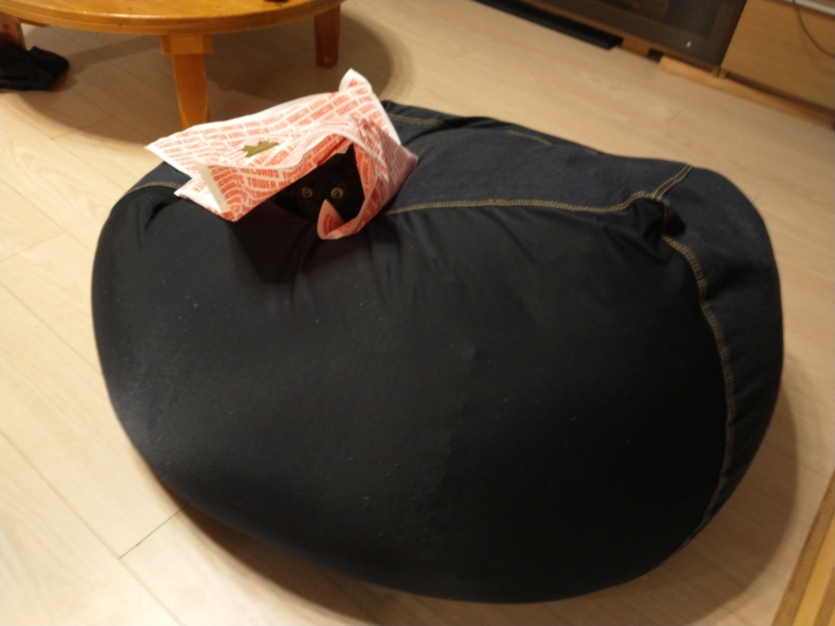 f:id:haruru1019:20210329162449j:plain