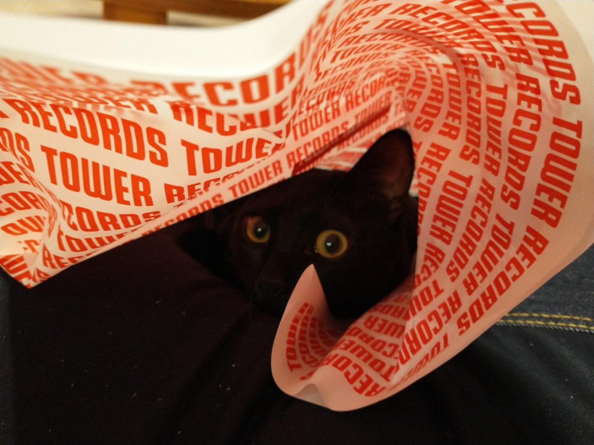 f:id:haruru1019:20210329162524j:plain