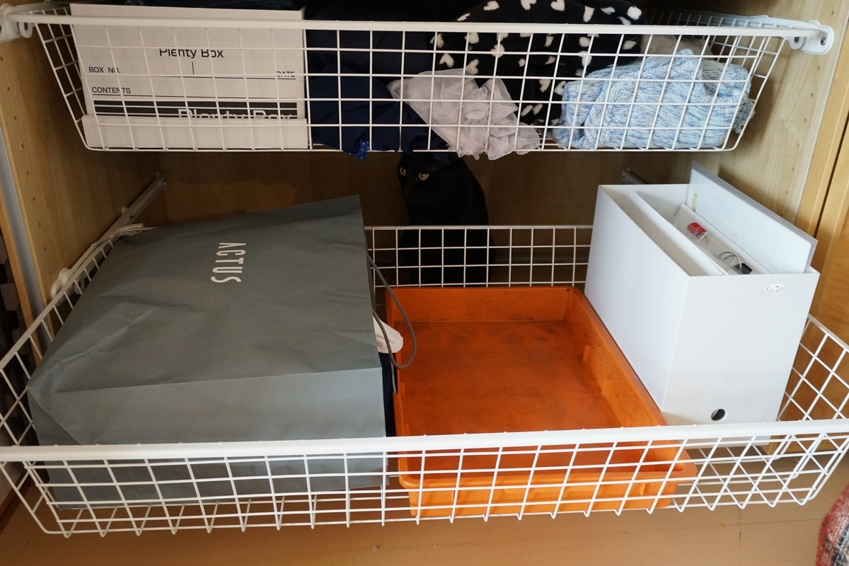 f:id:haruru1019:20210331200634j:plain