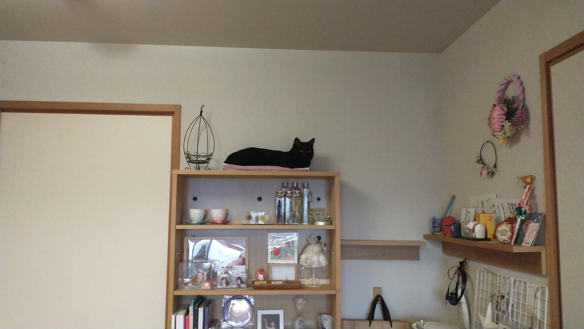 f:id:haruru1019:20210404164252j:plain