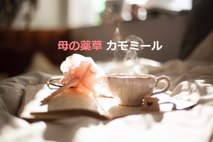 飲んだ後も楽しめるカモミールティーの活用法