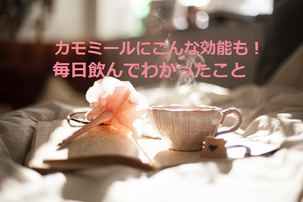 カモミールを始めて5ヶ月後、バストアップの効能に気づいた話