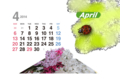 20140412111225
