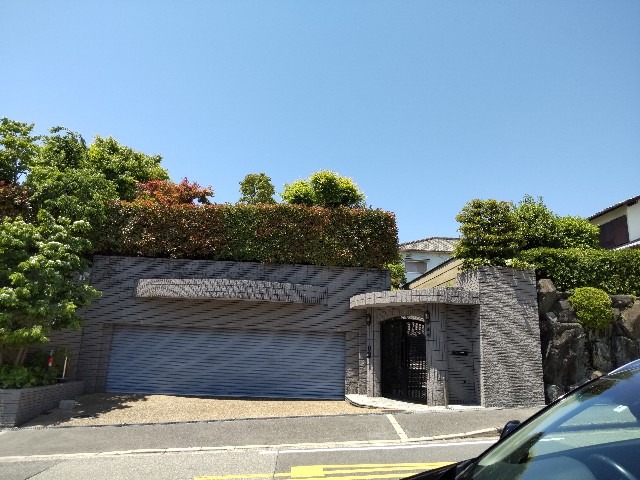 f:id:haruru_8948:20230513084554j:image