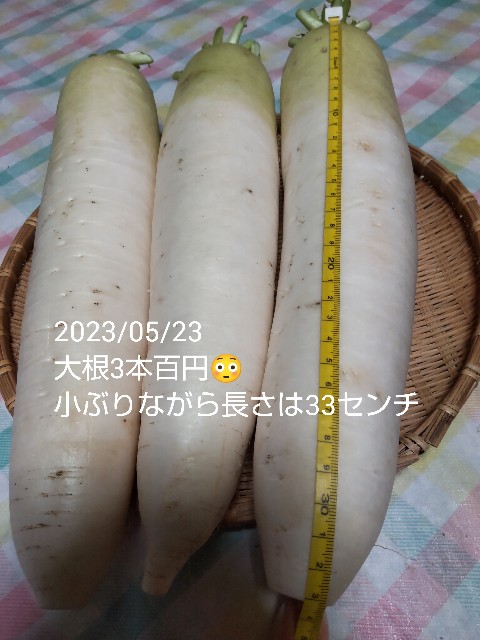 f:id:haruru_8948:20230525174719j:image