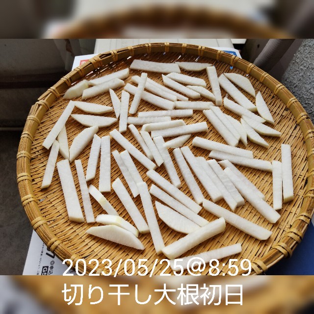 f:id:haruru_8948:20230525175330j:image