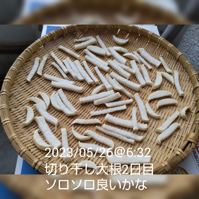 f:id:haruru_8948:20230526064326j:image