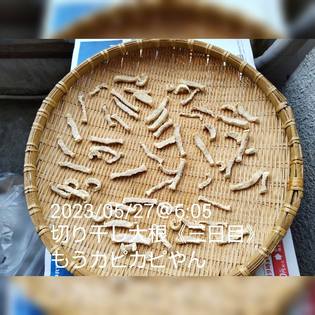 f:id:haruru_8948:20230527110741j:image