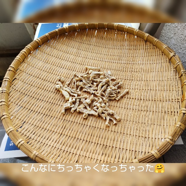 f:id:haruru_8948:20230527185134j:image
